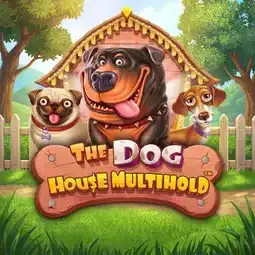 The Dog House Multihold gra w Frumzi Casino dla graczy z Polski The Dog House Multihold gra w Frumzi Casino dla graczy z Polski